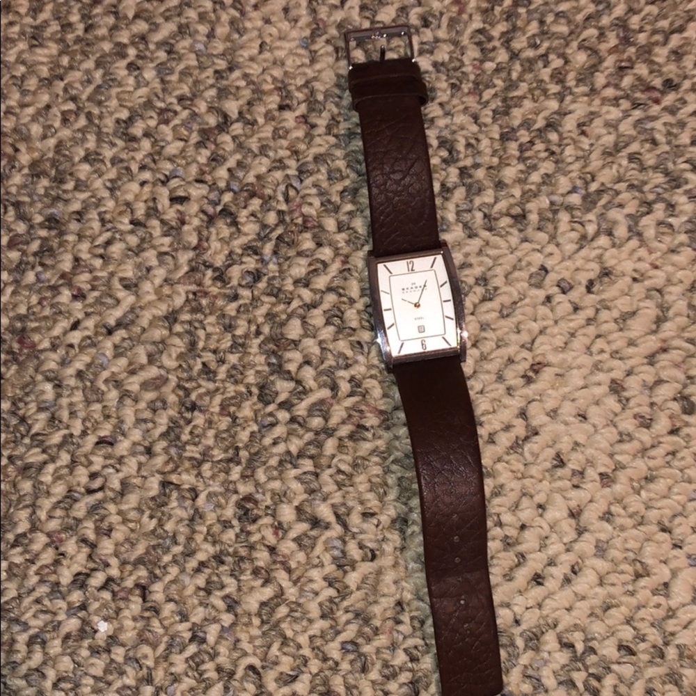 Skagen Denmark Mens Watch